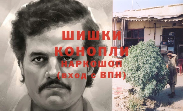 хмурый Осинники