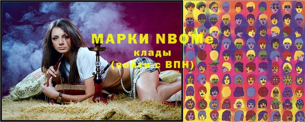 молекула духа Няндома