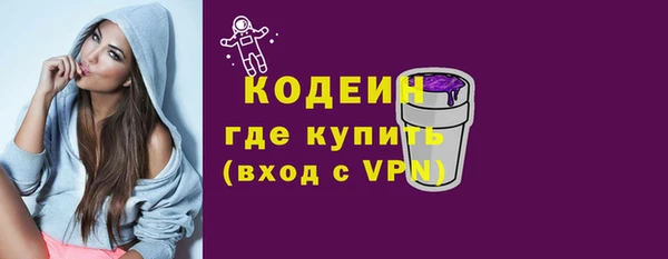 хмурый Осинники