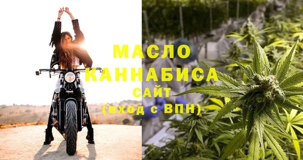 хмурый Осинники